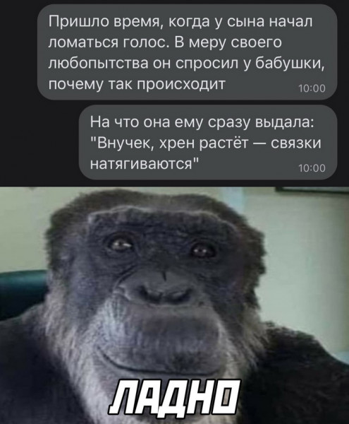 Мем, Брюттон