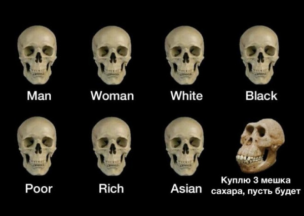 Мем, Брюттон