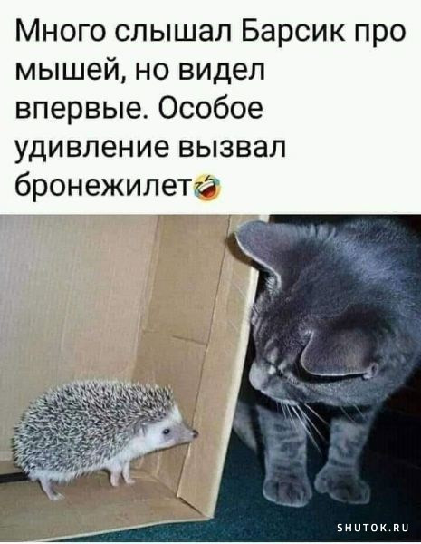 Мем, Джокер