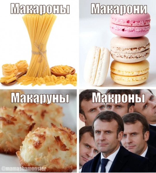 Мем, птица