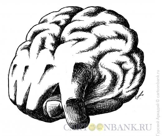 Карикатура: мозг-фига, Гурский Аркадий