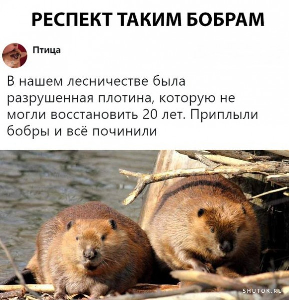 Мем, Джокер