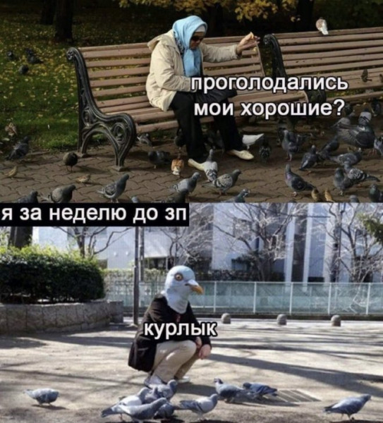 Мем, Брюттон