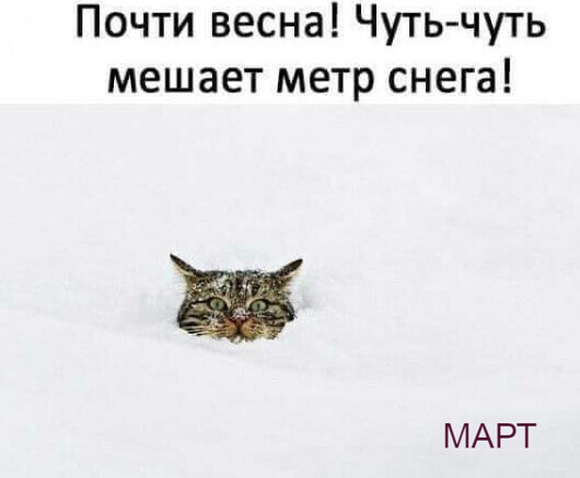 Мем