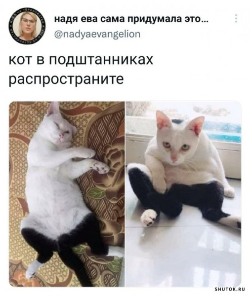 Мем, Джокер