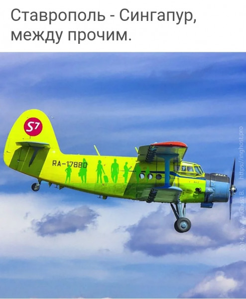 Мем, птица