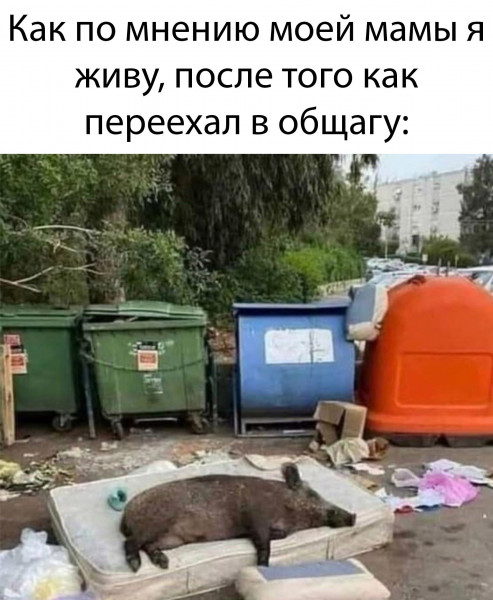 Мем, Брюттон