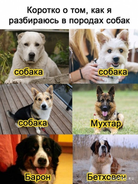 Мем, Джокер