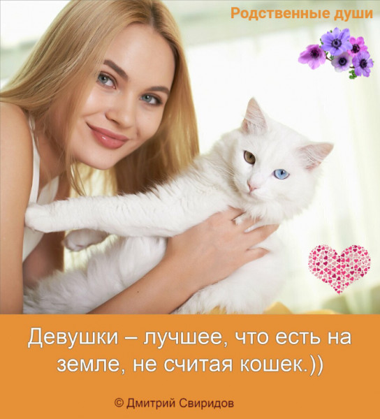 Мем: 8 Марта🌷, Дмитрий Свиридов