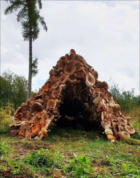 Мем: Из того что под рукой было, Брюттон