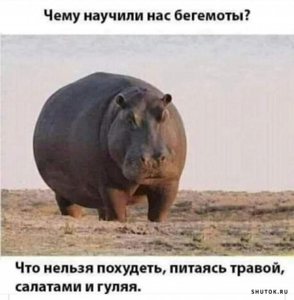 Мем, Джокер