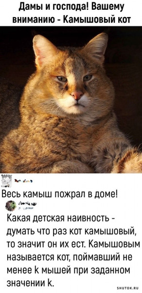 Мем, Джокер