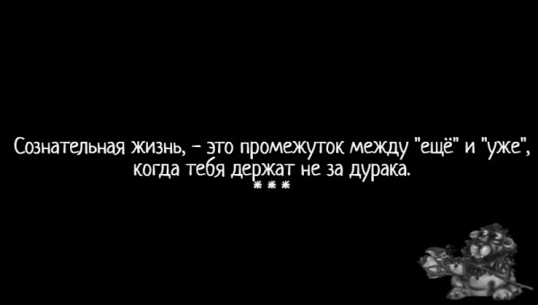 Мем: С иронией о разном, Влад Олишевский