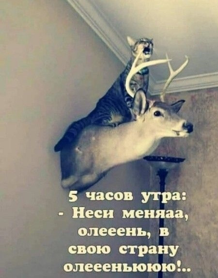 Мем, Criptor