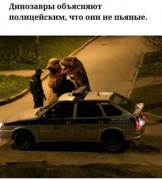 Мем, Брюттон