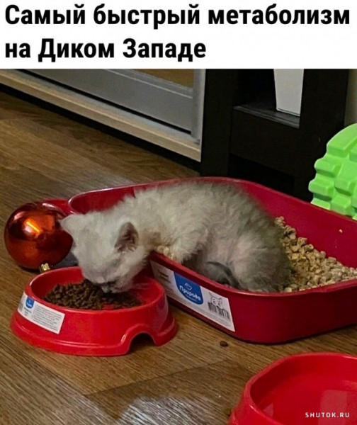 Мем, Джокер