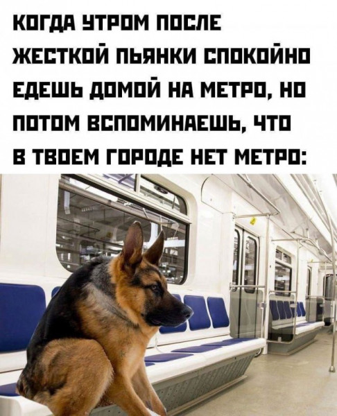 Мем, Брюттон