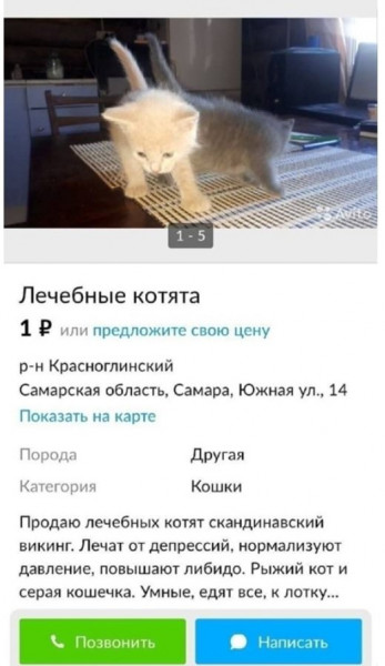 Мем: Лечебные котята, Gusinaya_lapka