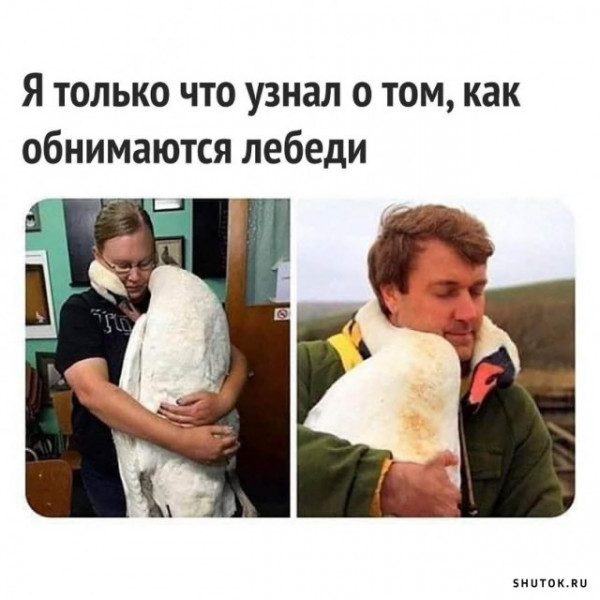 Мем, Джокер