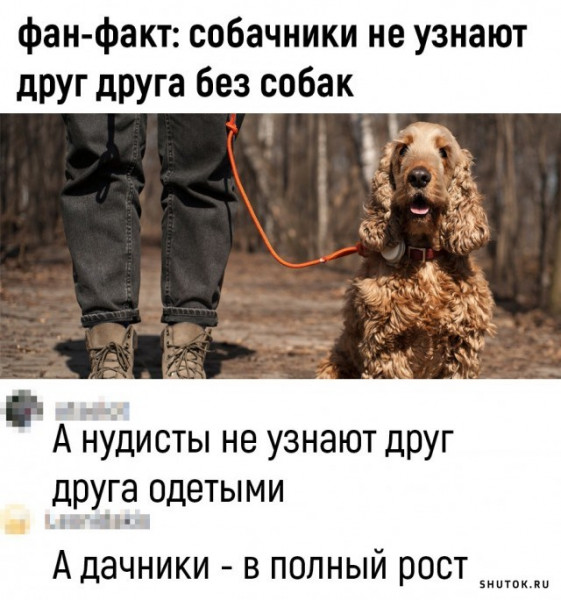 Мем, Джокер