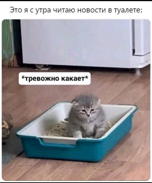 Мем