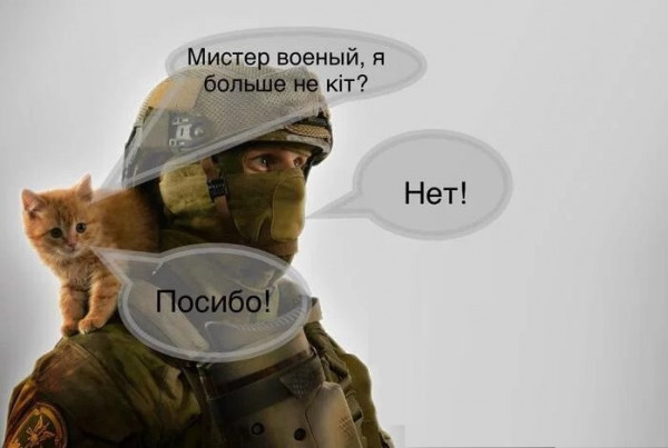 Мем