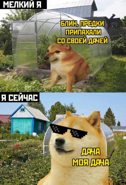 Мем, Брюттон