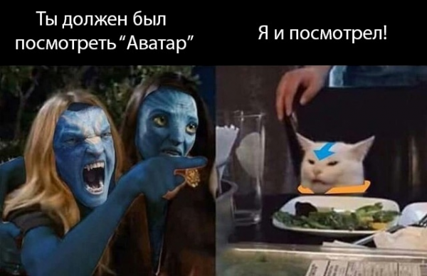 Мем, птица