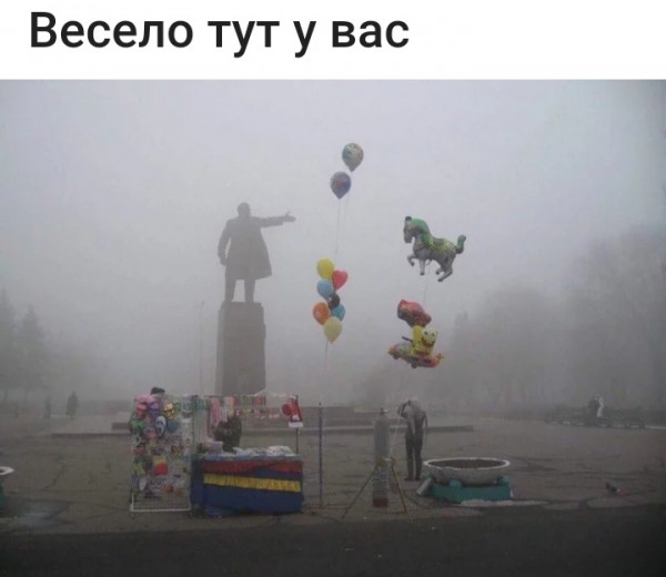 Мем, птица