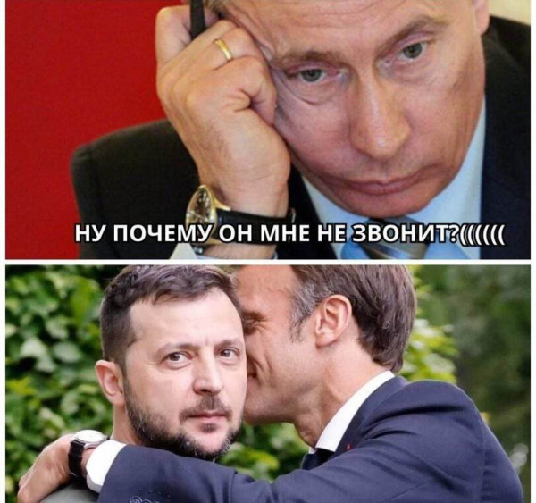 Мем, птица