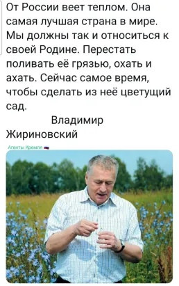 Мем, Кот Отморозкин