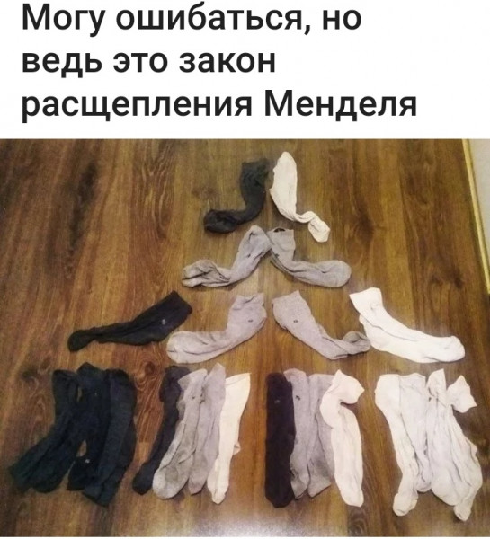 Мем, птица