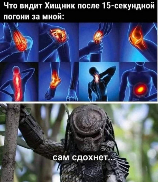 Мем, Брюттон