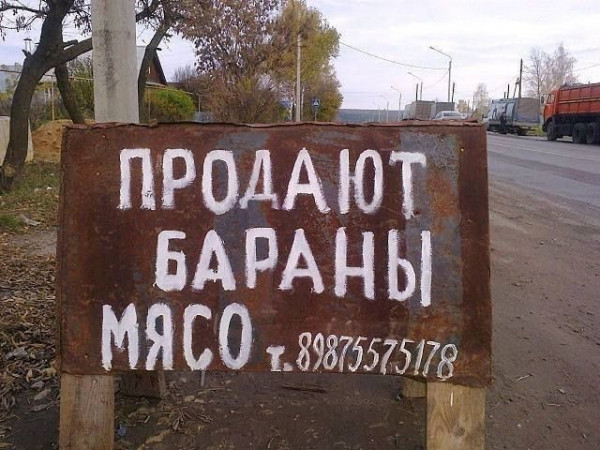 Мем, Кот Отморозкин