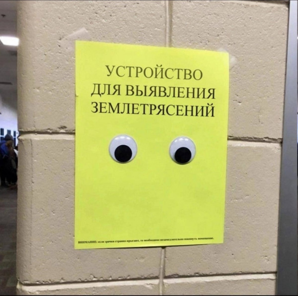 Мем, птица