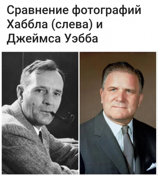 Мем, птица