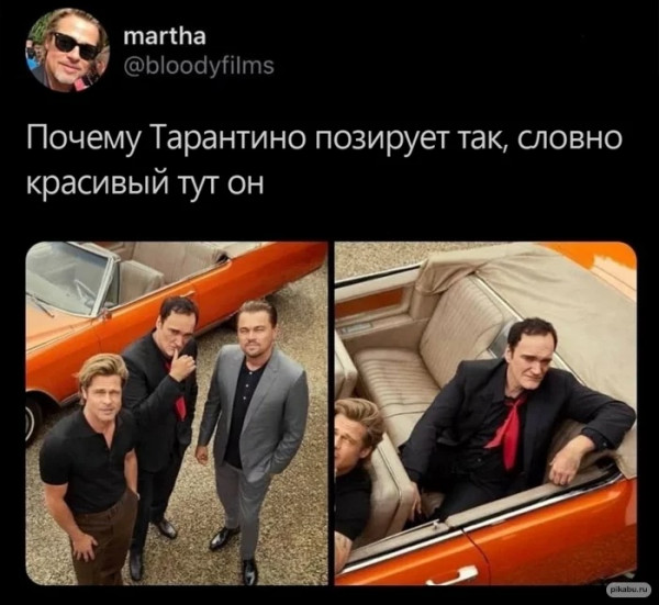 Мем, птица