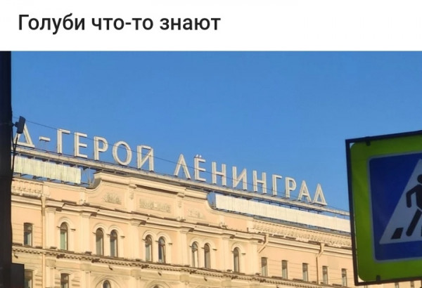 Мем, птица