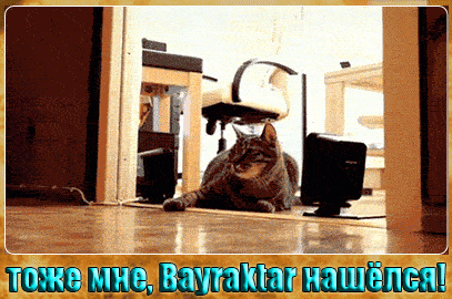 Мем: тоже мне, Bayraktar..., Серж Скоров