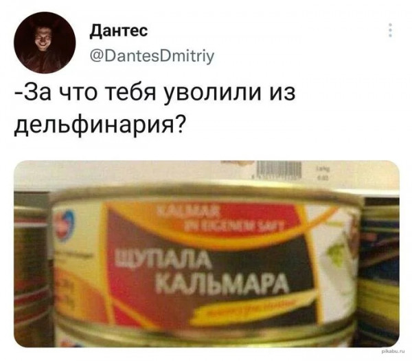 Мем, птица