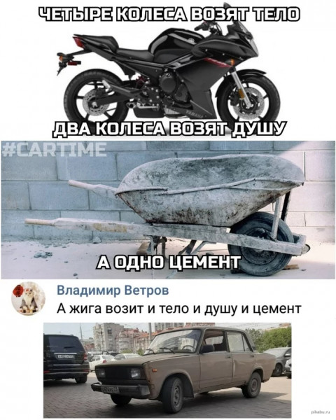 Мем, птица