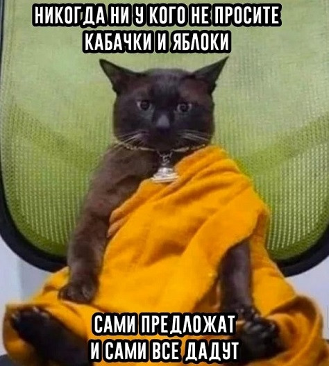 Мем: Чертовски умный совет, acorn2007