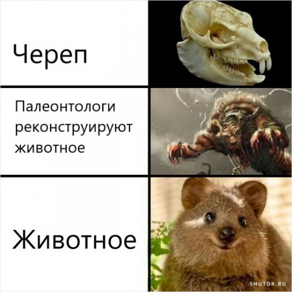 Мем, Джокер