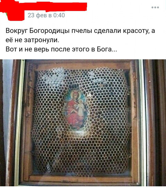 Мем, Кот Отморозкин