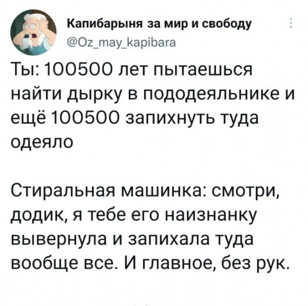 Мем, Брюттон