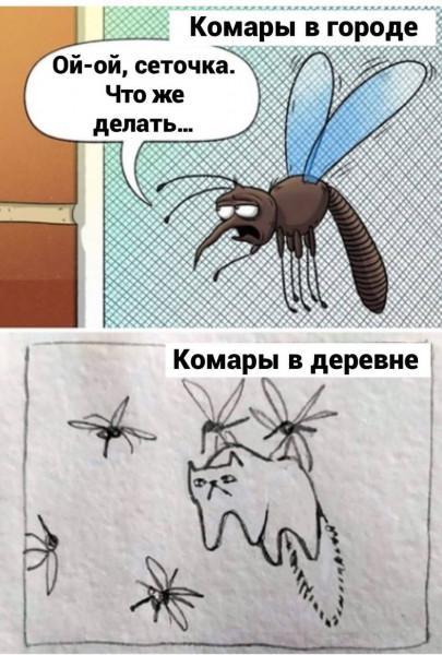 Мем