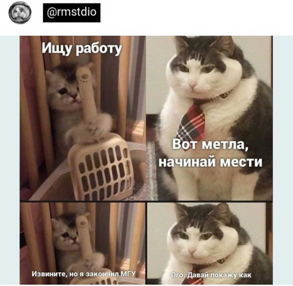 Мем, Брюттон