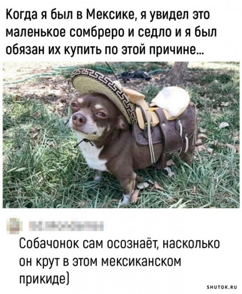 Мем, Джокер