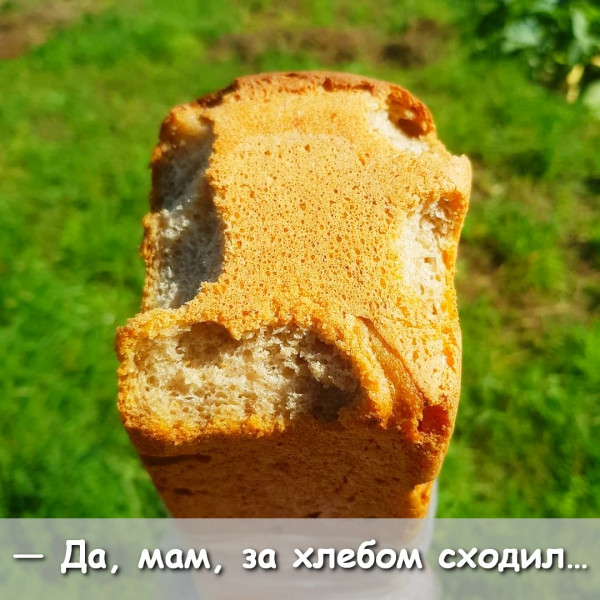 Мем: Да, мам, за хлебом я сходил.. )), trmz