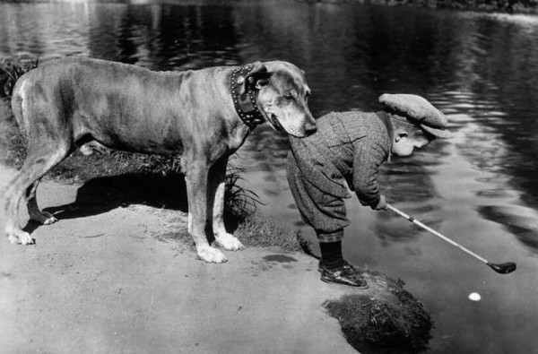 Мем: Собака защищает своего юного хозяина от неприятностей, 1920 год, Тьмуша
